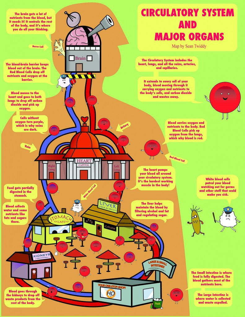 Map Of Organs